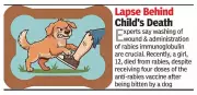 Bengaluru Girl's Rabies Death Exposes Critical Gap in Post-Bite Care
