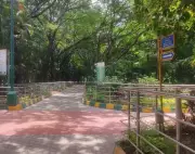 Bengaluru South Reverses Park Timings Amid Misuse Concerns