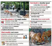 Bengaluru's Stray Dog Care Cost Pegged at Rs 111 Per Day, Sparks Adequacy Debate