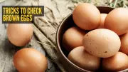 Brown Egg Adulteration: 2 Simple Tests to Spot Painted Eggs in India