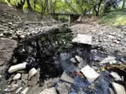 Chandigarh MP Raises N-Choe Pollution in Parliament, Ministry Admits Lapses