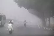 Chandigarh's First Dense Fog of Season Cuts Visibility to 150 Metres, Yellow Alert Issued