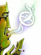 Chandigarh's Low Tobacco Use: Only 13.7% Adults Consume, Among India's Best