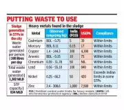 Chennai Study: Treated Sewage Sludge Safe for Gardens, Not Food Crops