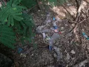 Chennai's Adyar Miyawaki Forest Plagued by Litter, Broken Fences, Poor Maintenance