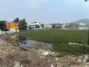 Chennai's Pallavaram Periya Eri Lake: Crores Spent, Yet Sewage Chokes 120-Acre Water Body
