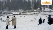 Chillai Kalan Begins: Stunning Snowfall Transforms Jammu & Kashmir into Winter Wonderland