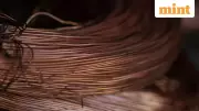 Copper Soars 7.72% to ₹1,376/kg on MCX Amid Trade Policy Fears