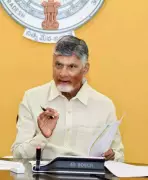 Court Closes Liquor Case Against CM Naidu, CID Finds No Evidence