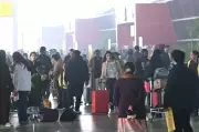 Delhi Fog Chaos: 500+ Flights Delayed, Passengers Stranded at IGI Airport