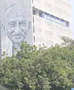 Delhi PWD Acts on SC Order: Helpline Signage for Stray Dogs on Major Roads