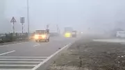 Dense Fog in Rudrapur Cuts Visibility to 20-30m, Disrupts Life in Terai