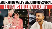 ED Raids YouTuber Anurag Dwivedi's Assets After Lavish Cruise Wedding