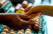 Egg Prices Hit Record Rs 110 Per Dozen in Mumbai; Chicken, Mutton Also Soar