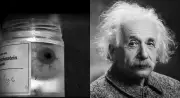 Einstein's Final Wish Denied: How His Brain and Eyes Were Stolen