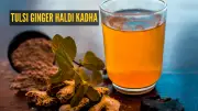 Fight Cold Wave & Sore Throat: Tulsi Ginger Haldi Kadha Recipe & Benefits