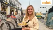German Influencer Calls Delhi Traffic a 'Rollercoaster', Sparks Reactions