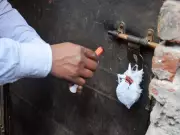 Goa Govt Seals 3 Clubs in Anjuna, Vagator Over Fire Safety Violations