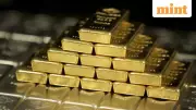 Gold Hits 6-Week High at $4,299/oz as Fed Rate Cut Bets Surge