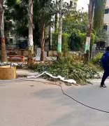 Greater Noida Alpha 1 Residents Protest Horticulture & Sanitation Neglect