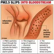 Gurgaon Doctors Link Rising Joint Pain to Toxic Air and PM2.5 Pollution