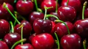 How Red Fruits Like Cherries, Pomegranates Boost Brain Health & Memory