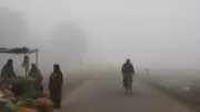 IMD Extends Fog & Cold Day Alert in Bihar Till Jan 3; Gaya Visibility Drops to 50m