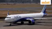 IndiGo Flight Chaos: Over 150 Cancellations, Major Delays Hit Key Cities