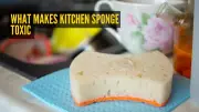 Kitchen Sponge Danger: Scientist Reveals 45 Billion Germs Per Sq Cm