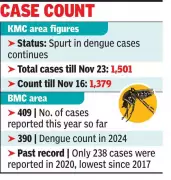 Kolkata Dengue Cases Spike: 122 New Infections in One Week