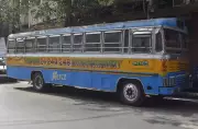 Kolkata Teen Dies After Falling From Moving Bus While on Phone
