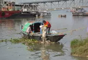 Kolkata's Hooghly River Clean-Up: 16 Tonnes of Waste Removed in 90 Days