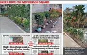 Kolkata's McPherson Square to Get 50+ Trees After Controversy, Park Makeover by Jan 15