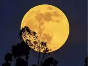 Last Full Moon of 2025 on Dec 4: How Taurus Cold Moon Guides Your Year-End