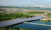 Madras HC Awaits Pallikaranai Marshland Report, Extends Construction Stay