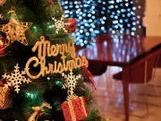 Merry Christmas 2025: Wishes, Quotes, Messages & Greeting Cards