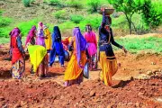 MGNREGA Reality Check: Only 8% Families Get Full 100 Days Work