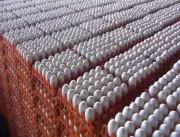 Namakkal Egg Price Soars to Rs 6.40 at Farm Gate, Poultry Farmers Rejoice