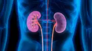 New Blood Test Ratio RAR Could Revolutionize Early Detection of Diabetic Kidney Disease
