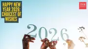 New Year 2026: Finding the Right Words for Your Wishes and Messages