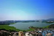 NGT Panel Proposes Rs 5 Lakh Monthly Fine on BMC for Powai Lake Sewage