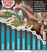 North Chhattisgarh Braces for Cold Wave, Temperatures Drop to 2°C in Mainpat
