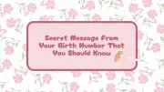 Numerology Secrets: What Your Birth Number Reveals About You