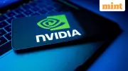 Nvidia Stock at Rare 13% Discount to Chip Index, Bernstein Sees 150% Return Potential