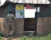 Olive Ridley Nesting Season Begins in Goa: First Turtle Lays 99 Eggs at Morjim