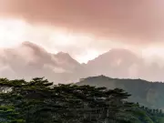 Panaji Mercury Dips Below 20°C: Winter Arrives Early in Goa