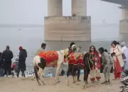 Patna Gears Up for Grand New Year's Eve 2026 with Themed Parties & Fireworks