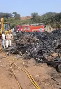 Protected Aravali Forest Fire in Gurgaon Causes Rs 2.4 Lakh Damage