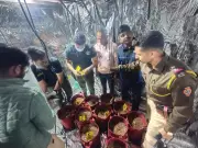 Pune Police Bust AI-Powered Hydroponic Drug Ring, Seize Rs 3.45 Crore