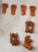 Punjab Busts Wildlife Racket: Lizard Genitals Sold as Rare Roots in Nakodar